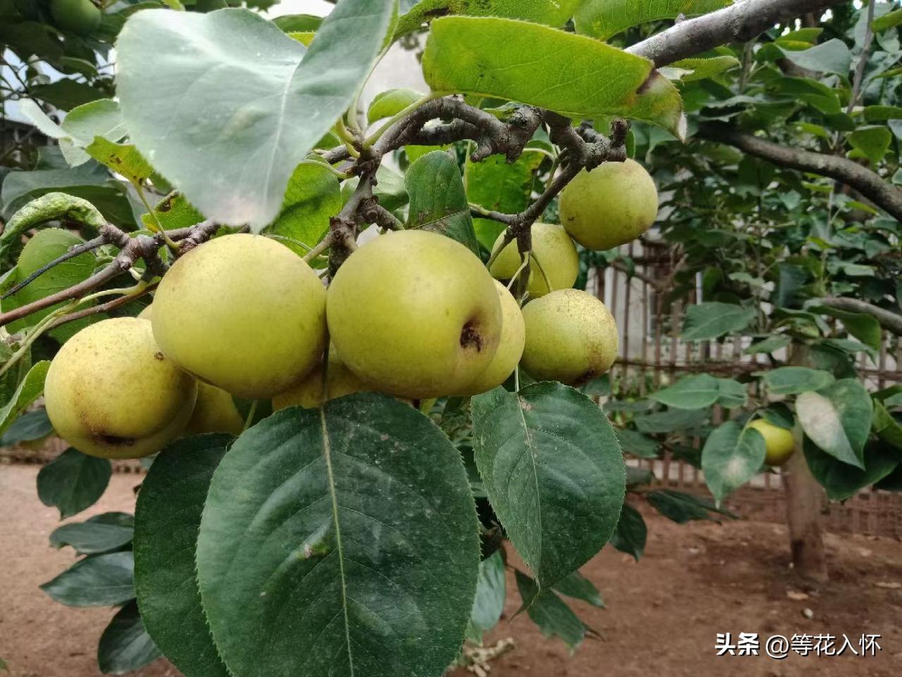 我和景甜不得不说的故事

十几年前，我还是个怀揣着文学梦的忧郁青年。那时候QQ空