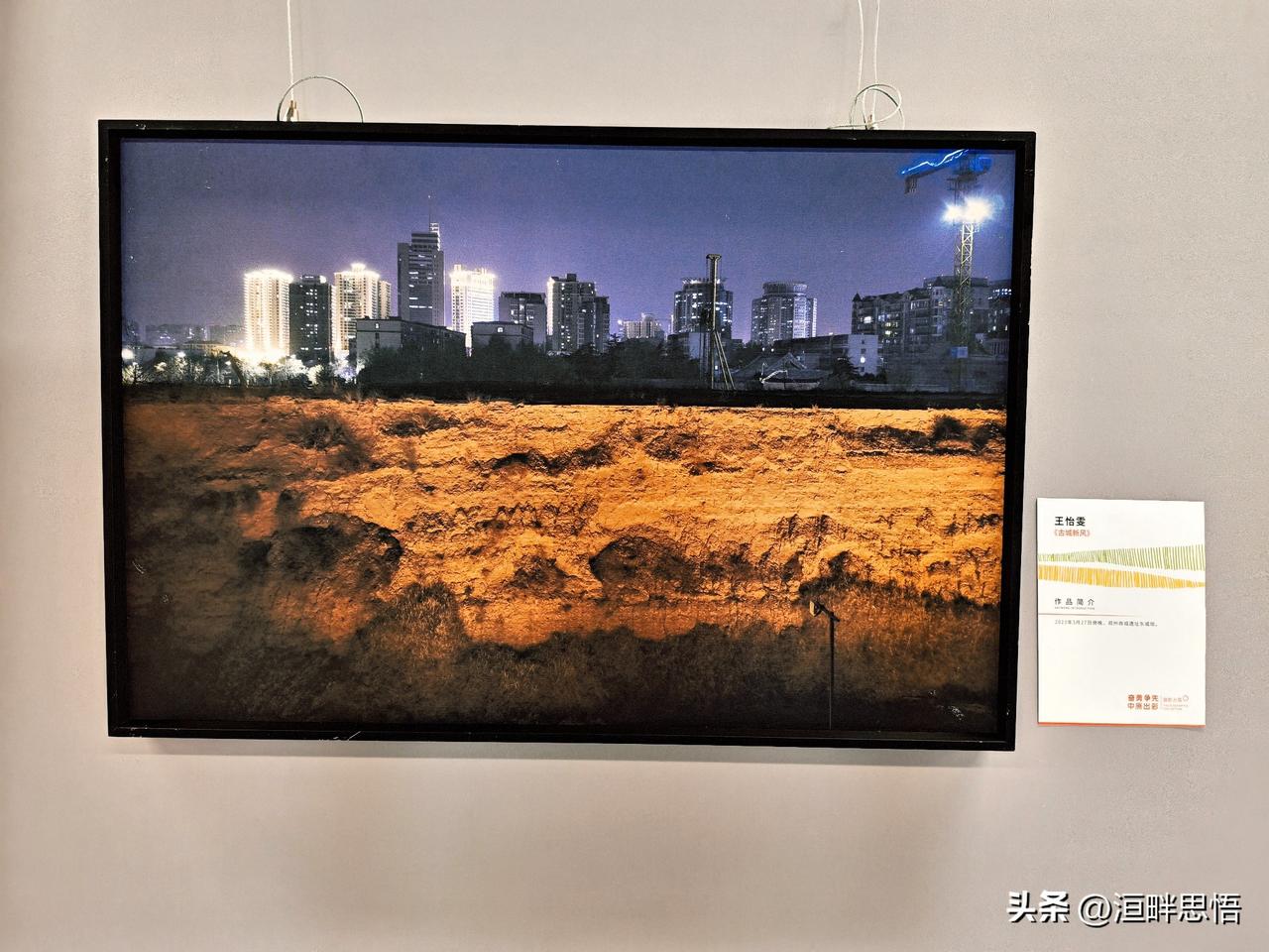 “奋勇争先中原出彩”摄影大展(十一）