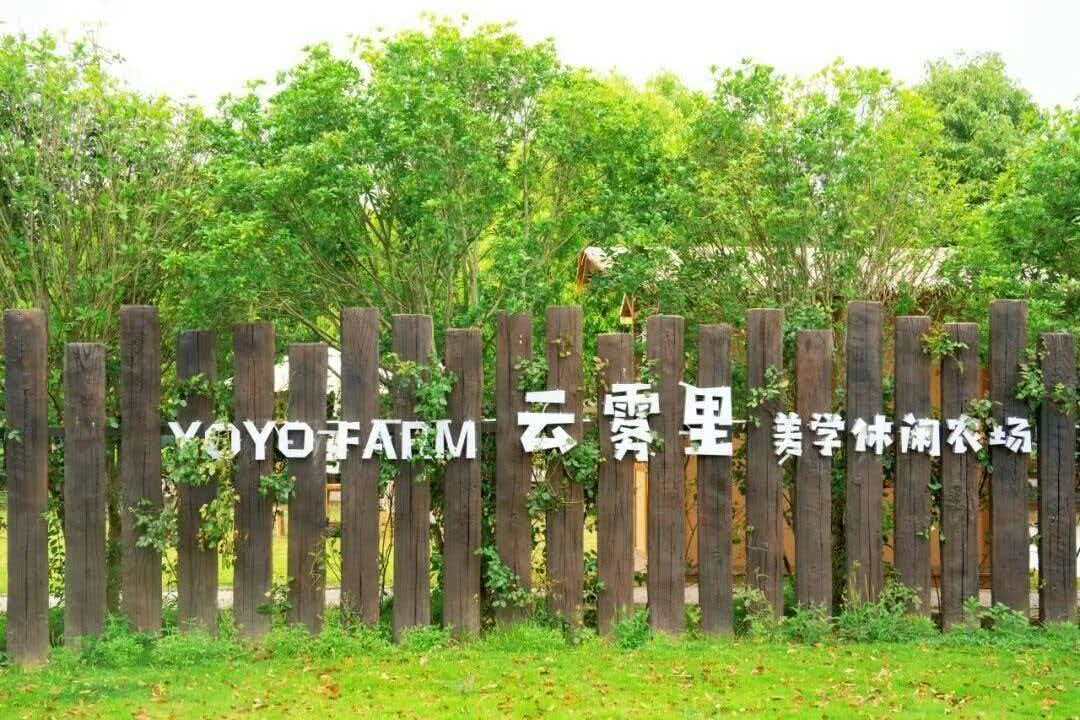 武汉文旅资讯 【打工人速来！黄陂大自然工位第一站已上线~】敲键盘敲到手指发僵？想