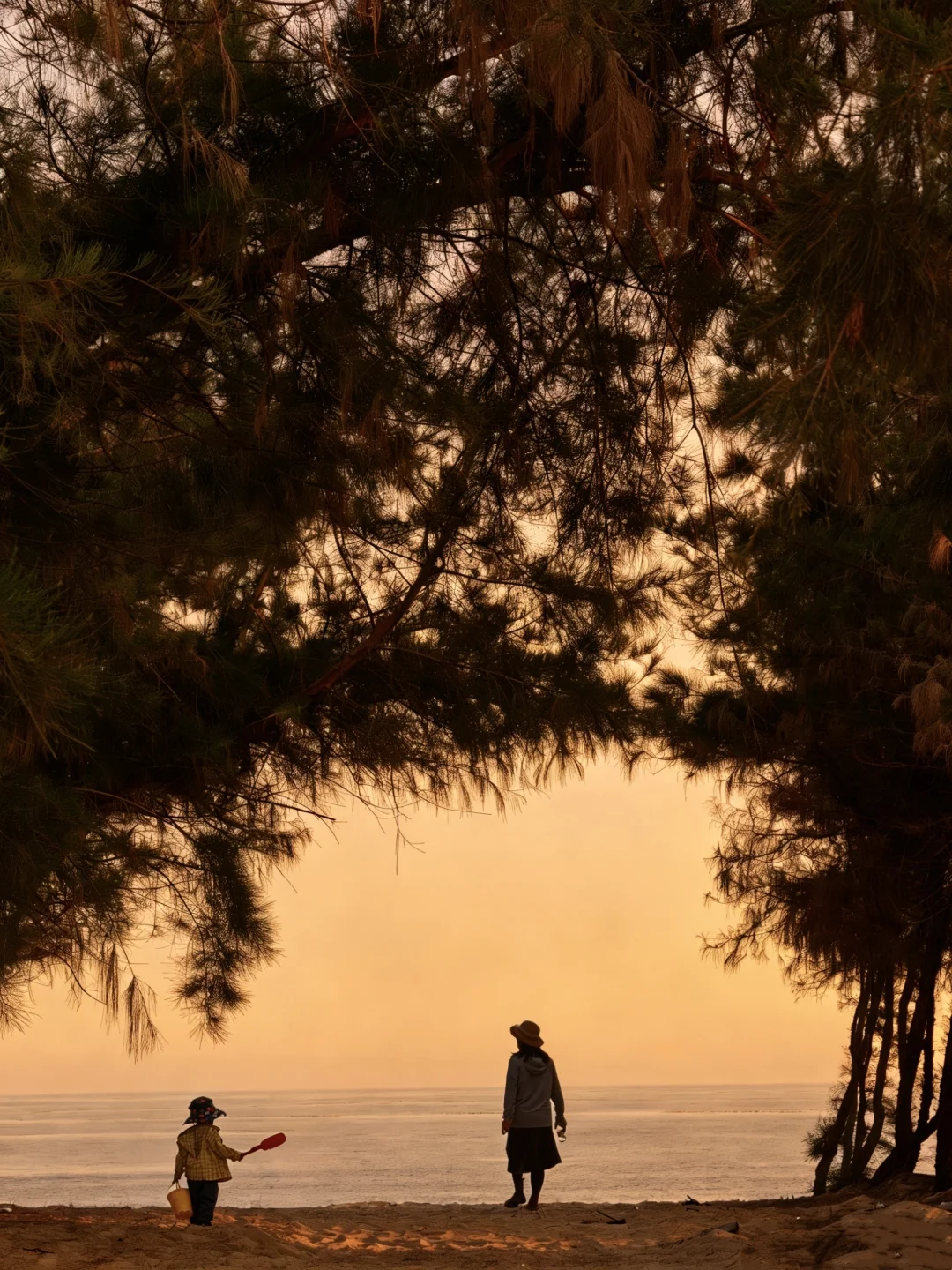 不私藏了，连续2年都带娃来的冷门海岛！