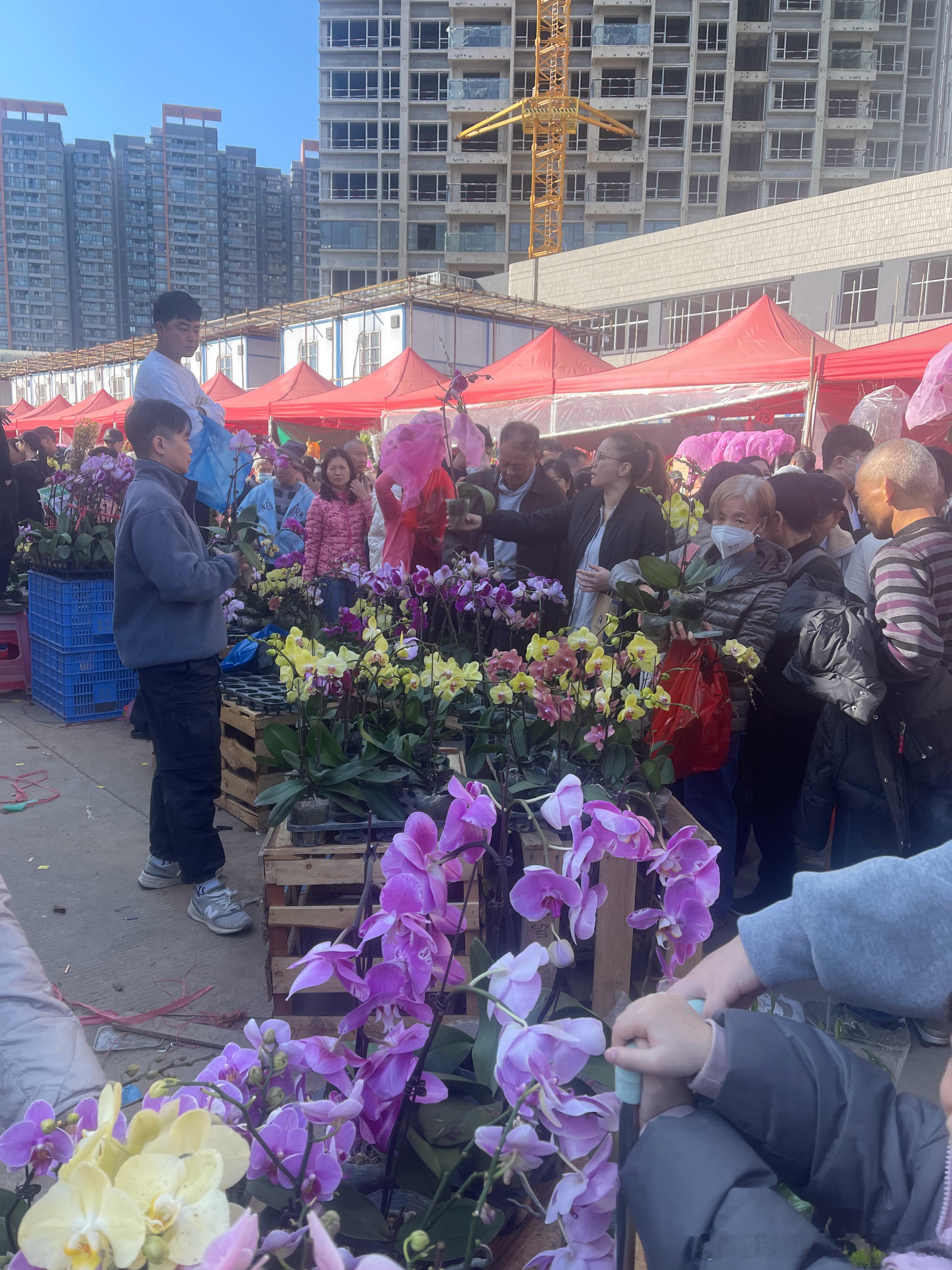 你们逛的是花街，而我们家每年喜欢逛的是花市！至于为什么，因为便宜呀！我们喜欢的是