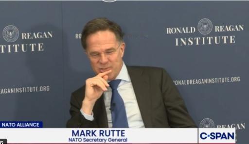 【吕特解释他为何称特朗普为“爹地” 。北约负责人表示，他并非字面意思，但承认这个