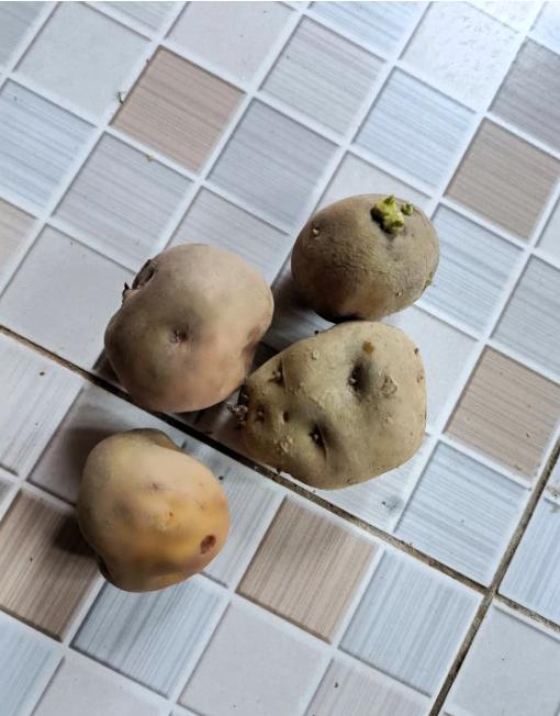 我敢说，很多人说不出这东西的方言名！
刷到这张土豆的照片，楼主放话“99%的人用
