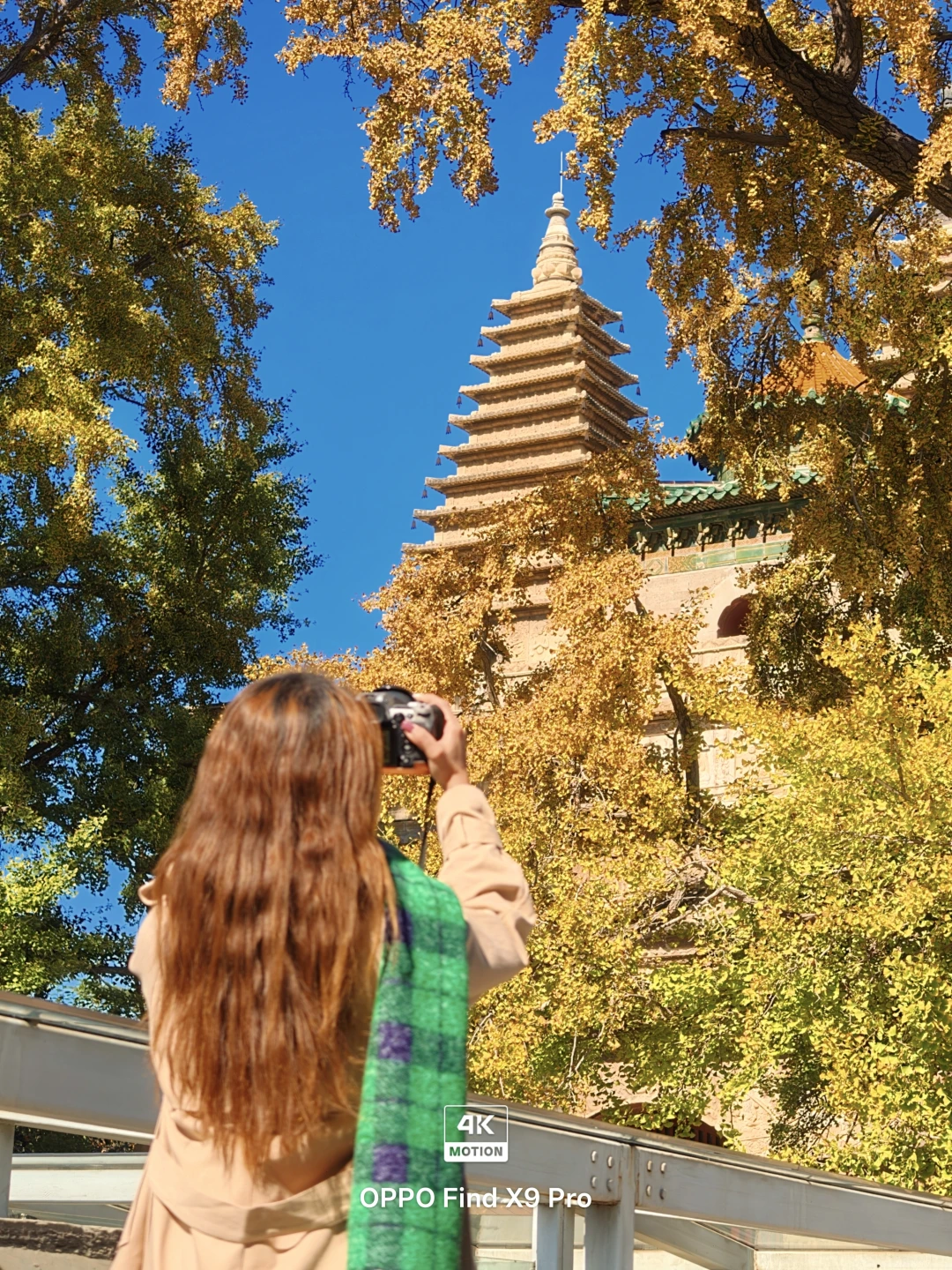 4K live｜深秋的北京就是巨大的能量场🍂