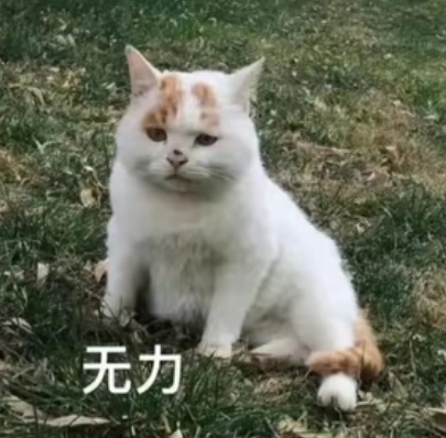 以前刚出道你们想通过群演或者合作的同事了解他在剧组的日常我能理解，因为那时候是小