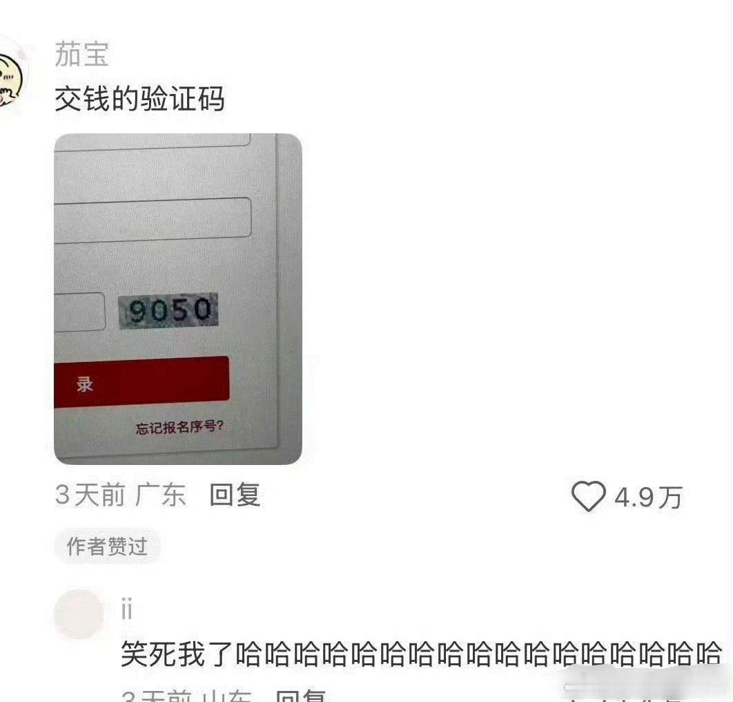 国考报名时的验证码vs缴费时的验证码 