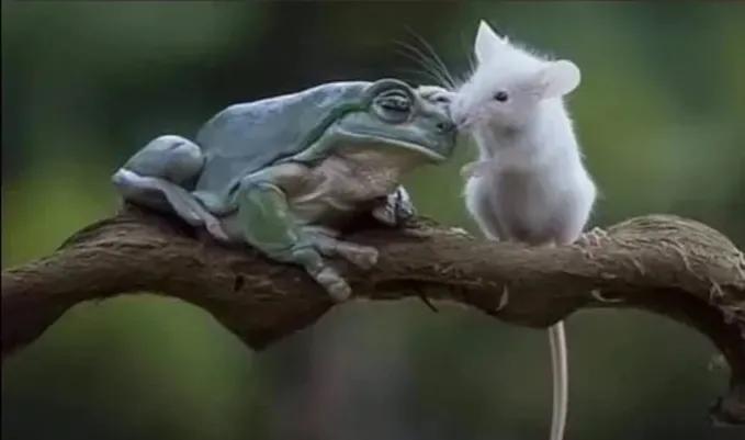 告诉了我们什么道理？