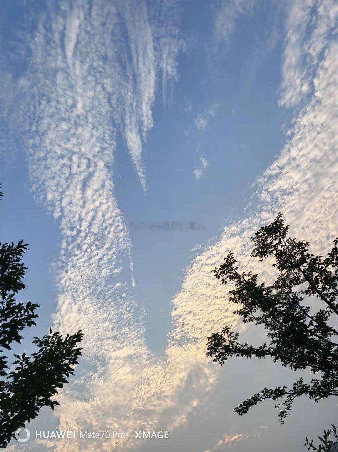 鲁迅先生曾说：“天之所以高，是怕骄傲的人撞破了头；地之所以厚，是怕聪明的人看得太