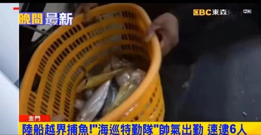 被民进党杀害的两个渔民，可能只是路过，根本都没去捕鱼，这筐里的鱼都不到10条吧？