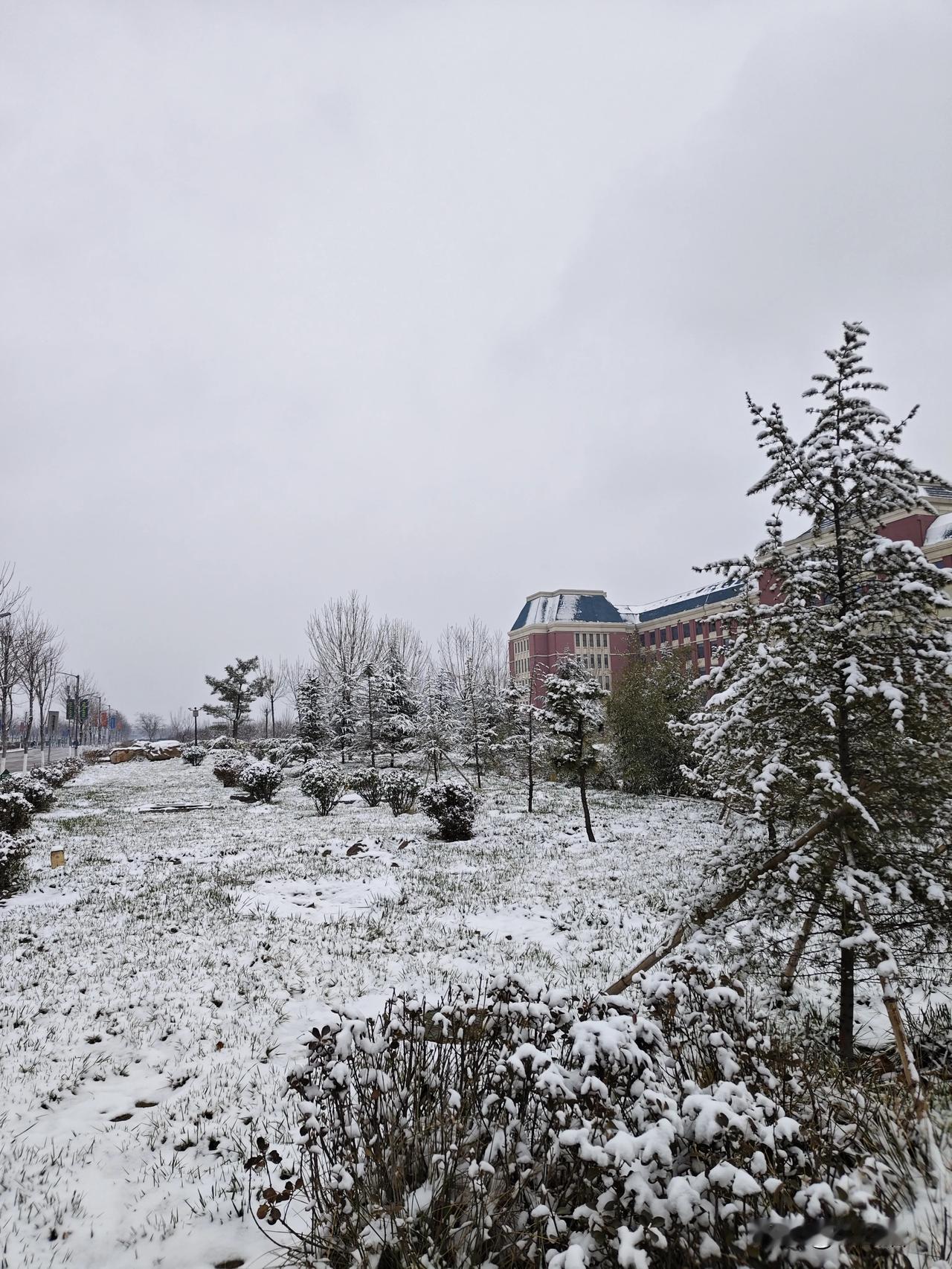 雪终于来了，早晨起床拉开窗帘，看到雪花在飞舞。
 
站在窗前，静静听一会雪落下的