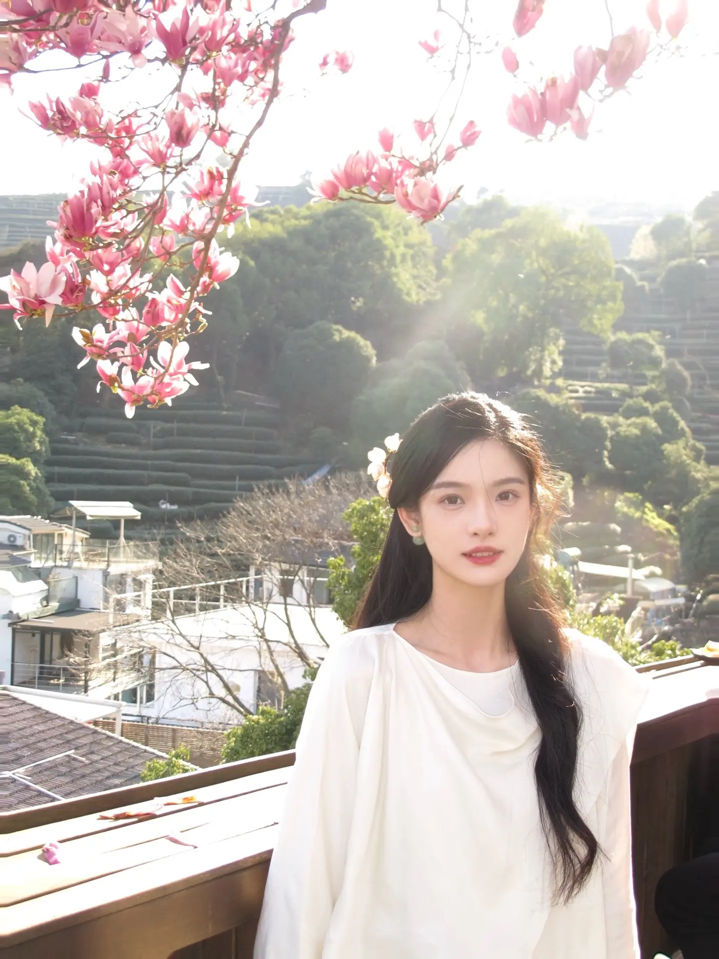 玉兰花开，一树尽是江南春。
