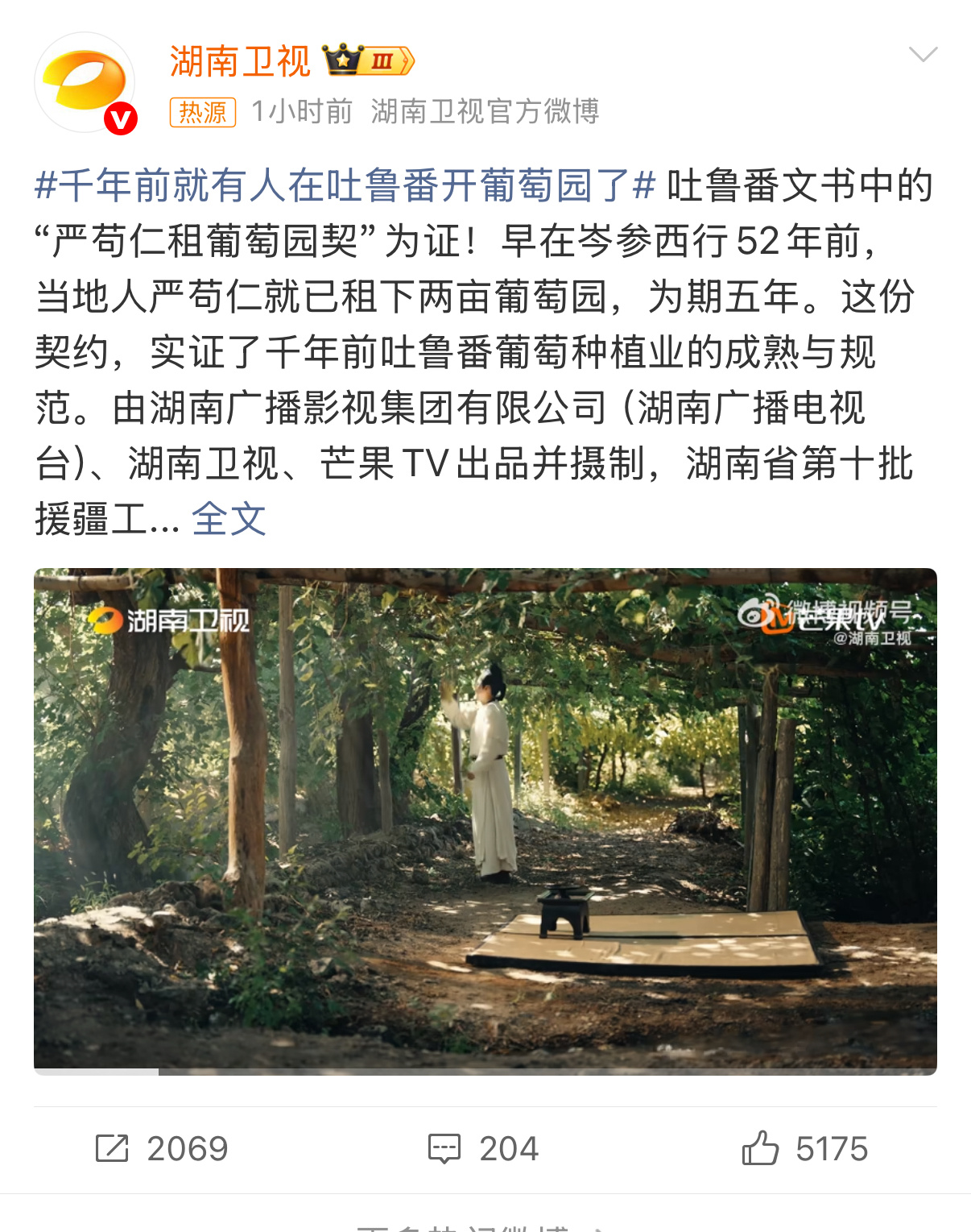 考古发现太惊艳！千年前的吐鲁番葡萄园遗址，见证了古人的生活智慧，这份甜蜜的历史值