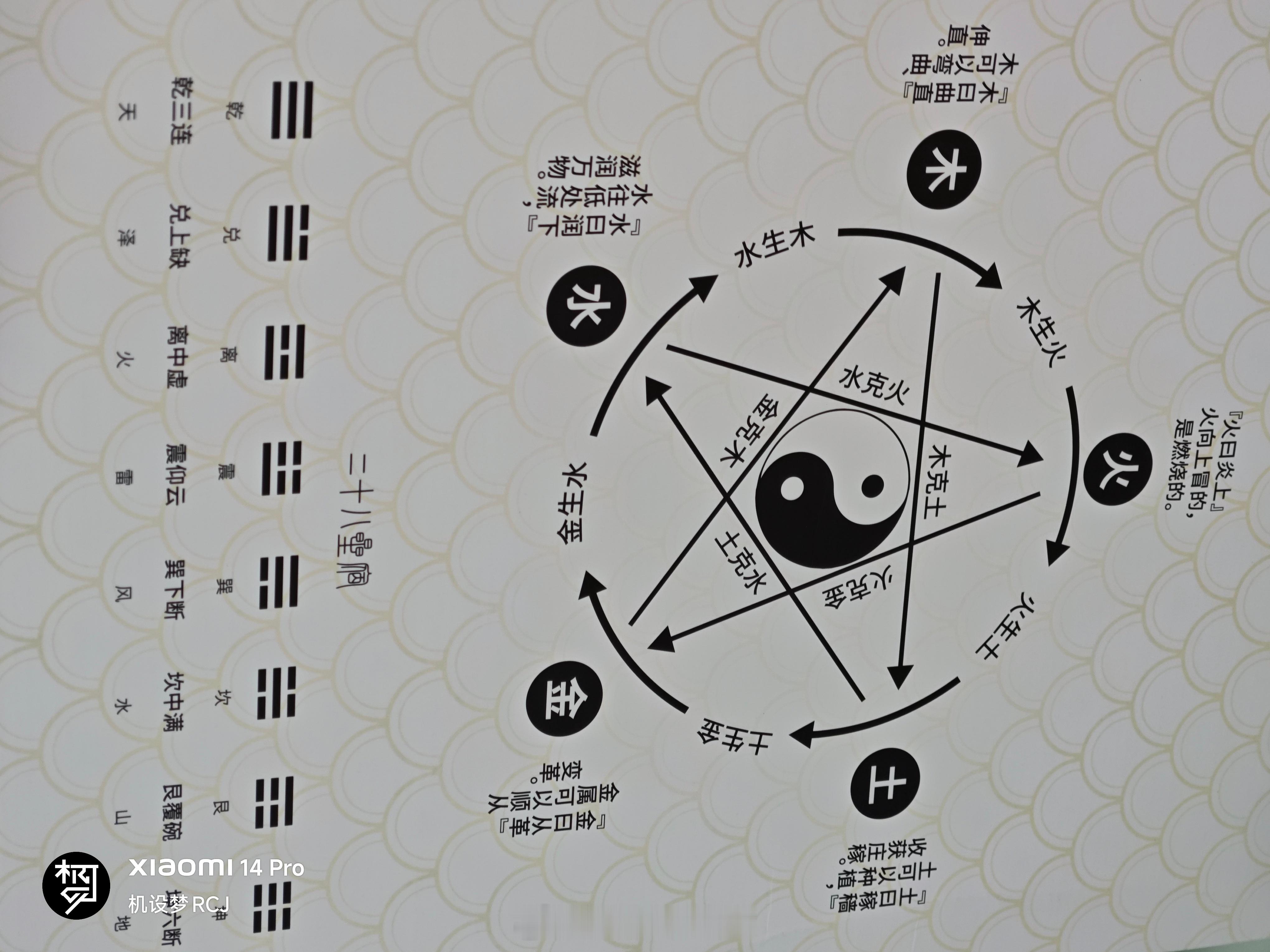 今天摸了 梵境亢金龙 这盒子内封 挺有意思的