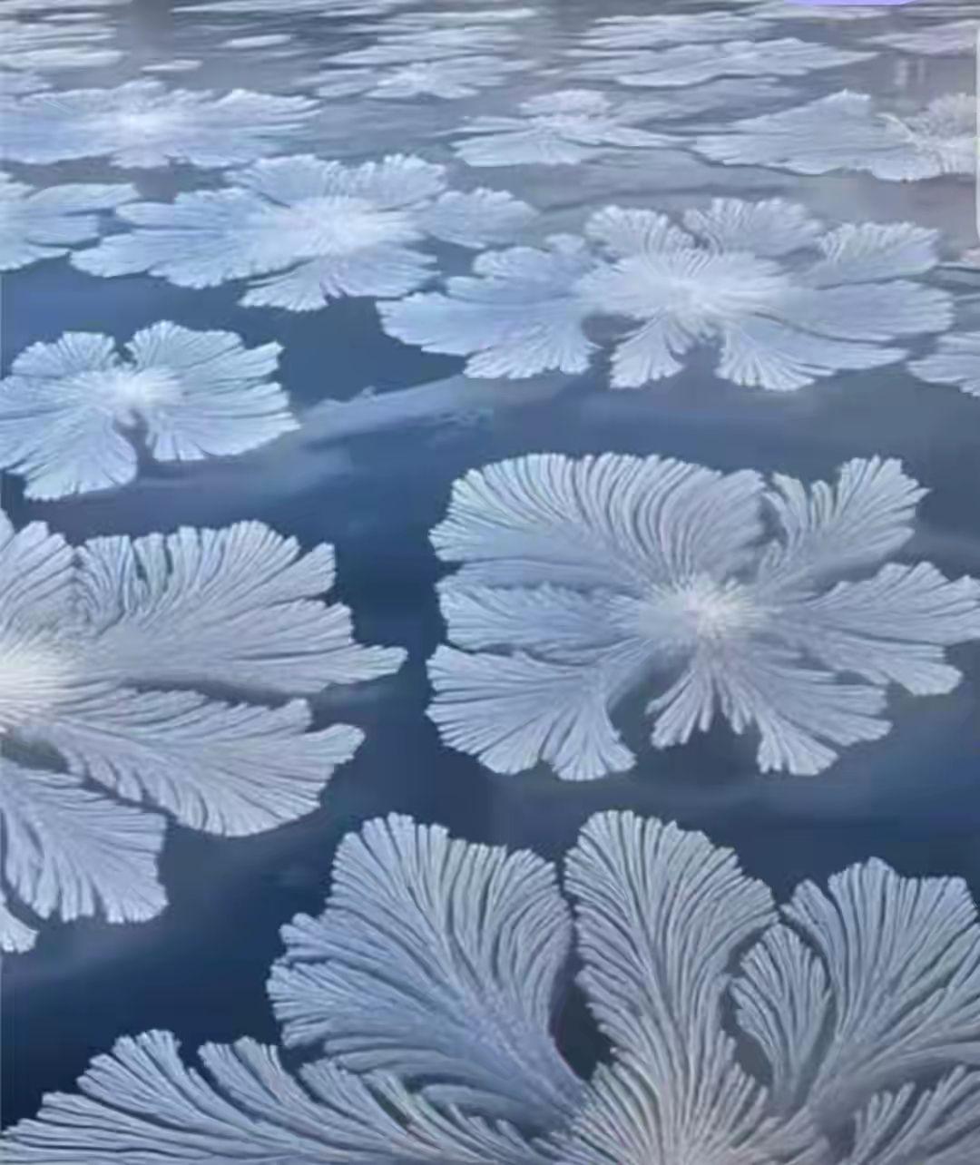 冰花
惊叹凉花透玉雕，
自然形态载妖娆。
千奇灵动贴冰镜，
魔幻芳心冻影漂。