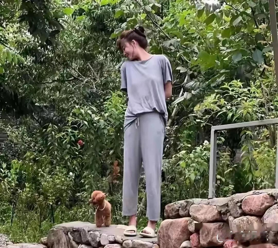 北京闹市一隅，殷桃的玻璃花房豪宅悄然出圈——龟背竹攀着藤编吊灯垂落成帘，琴叶榕与