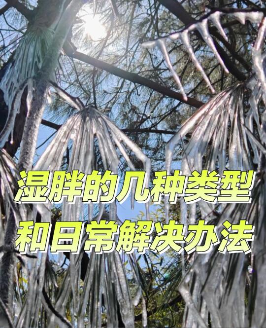 湿引起的胖好减 各种湿胖各有招数