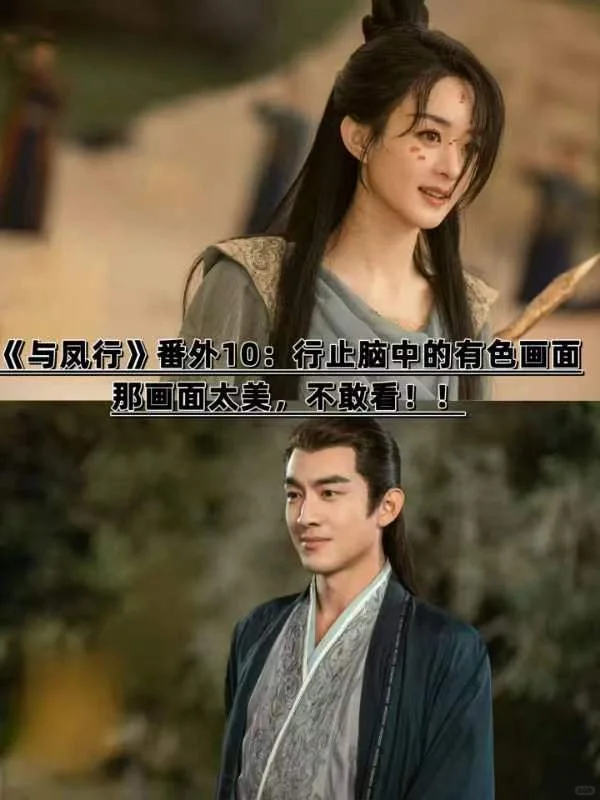 《与凤行》番外10：行止脑中的有色画面！！