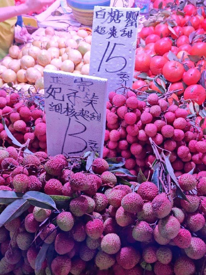荔枝价格，妃子笑13元/斤，白糖罂15元/斤。这两个是好的早熟品种，其他杂牌约8