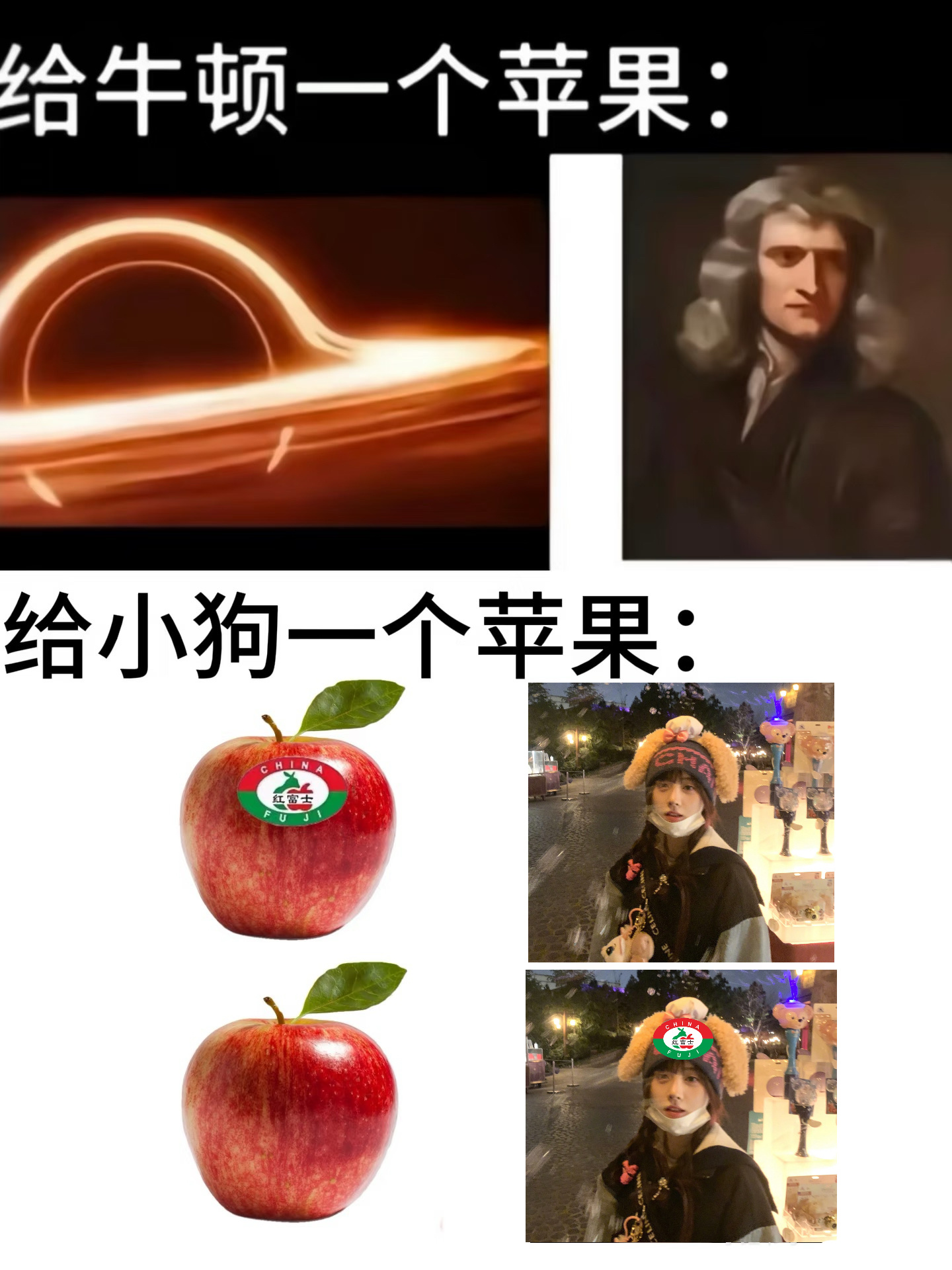 建设meme敬意梗图中！🐱🐰🐷🐶鞠婧祎