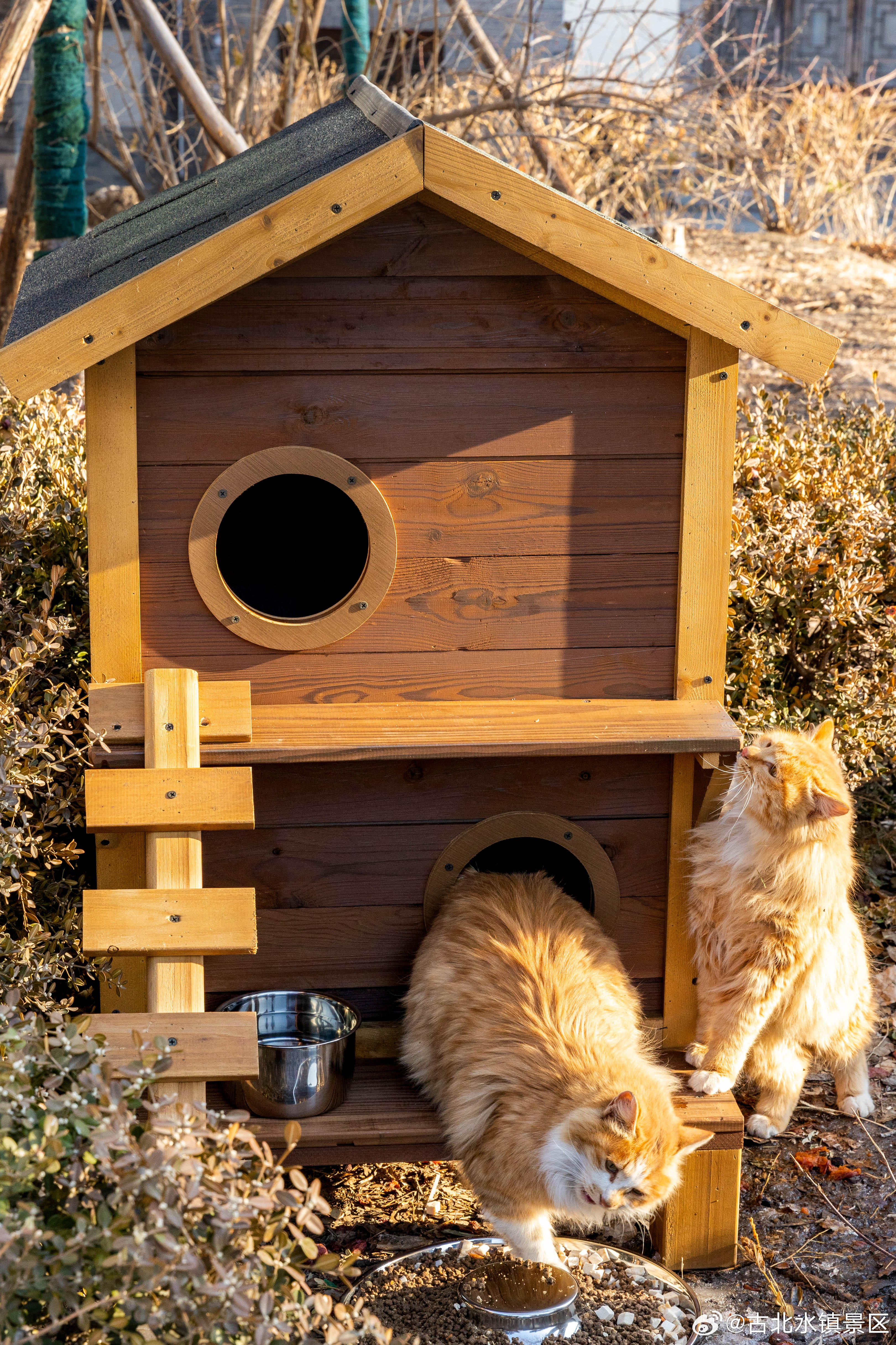 简简单单过日子认认真真爱自己晚安，宝子们~#古北水镇# #司马台长城# #长城下