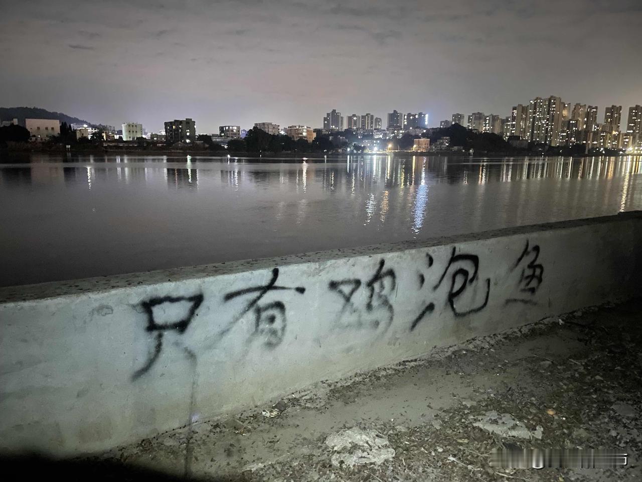 钓鱼佬绝望的怒吼
野钓黄杨河，看到墙面上的涂鸦，深深被震撼到，空军是绝望的，但是