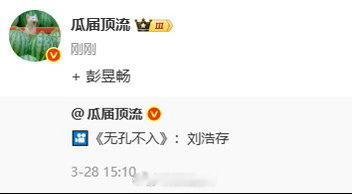 🍉：《无孔不入》刘浩存+彭昱畅 存子能一番压彭昱畅吗？