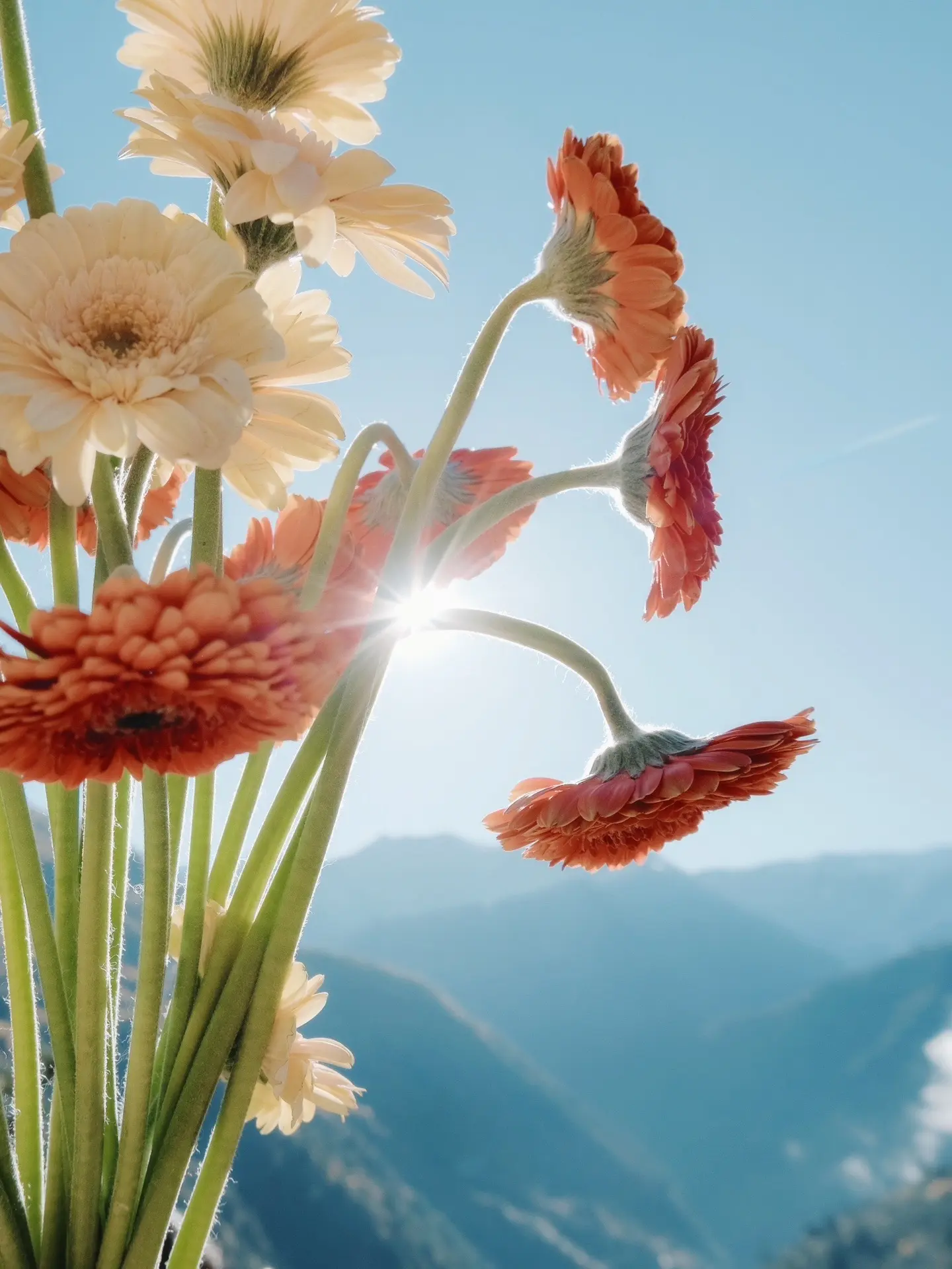 山间秋意｜🍂秋冬旅行文艺氛围感拍照。又一年 这棵树依然在四季交替中变...