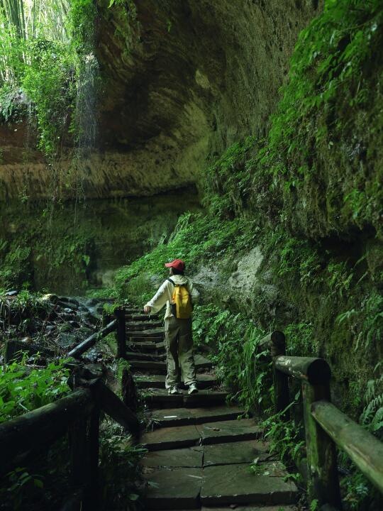 成都1h🚇直达！找到了竹海秘境避暑胜地🍃