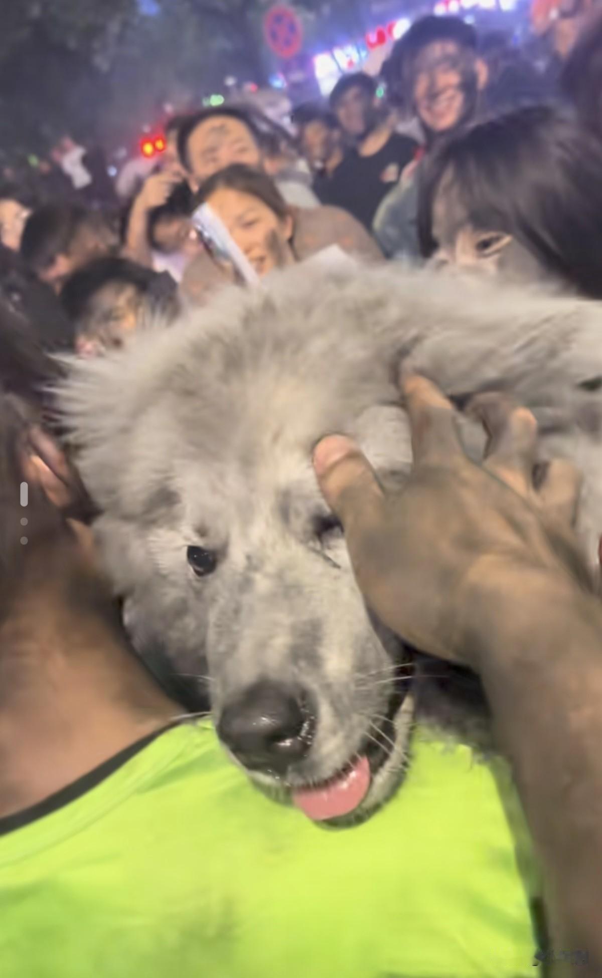 谁懂啊！火把节“抹黑脸”才是真·社交天花板
 
谁懂啊家人们！云南火把节这波“抹