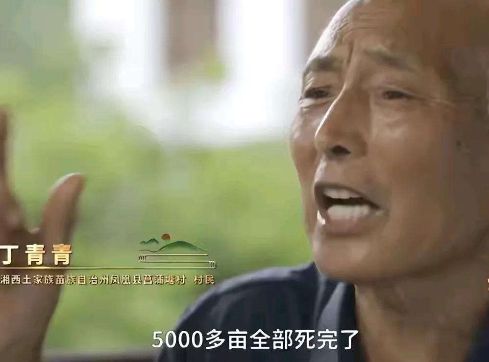 湖南农民创新破解果树“绝症”的案例分析

近年来，果树“绝症”困扰着农民和果农团