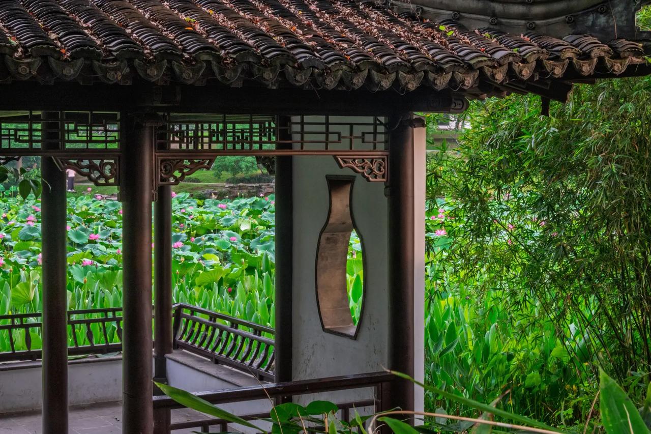 南京玄武湖。南京玄武湖