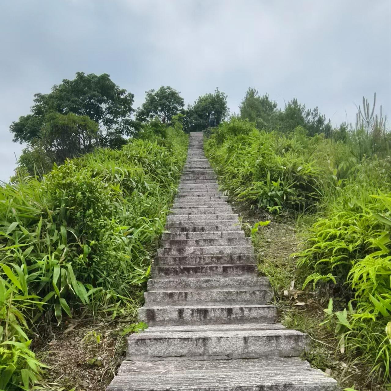 看头条，了解台湾：
我们对郑丽文期望过高了，她不过是在野党主席，在党内都未能获得