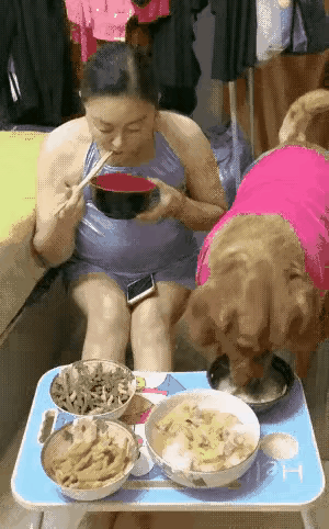 女人和狗同桌吃饭，会不会患传染病毒？客人来了，她家的碗筷还能用吗？

视频上显示