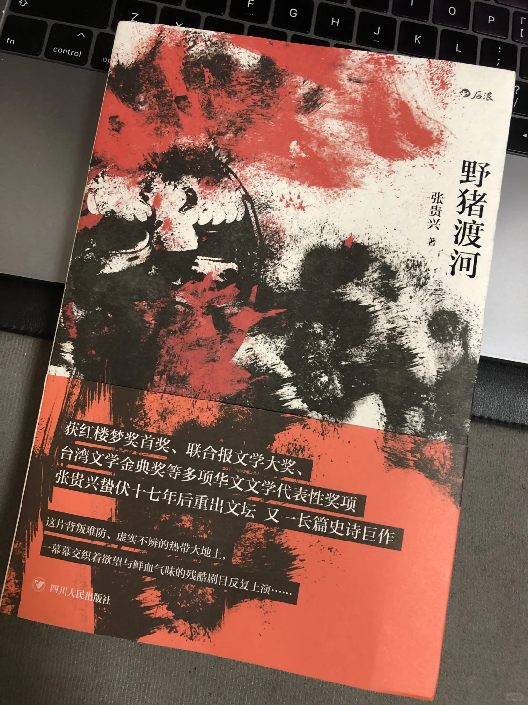 野猪渡河｜三年八月