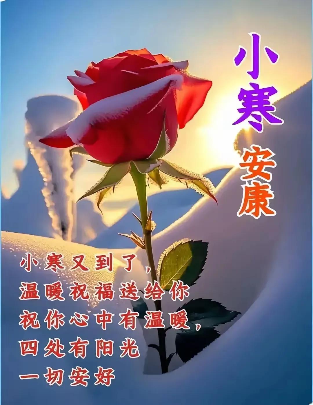 小寒安康，温暖祝福送给你！🌹