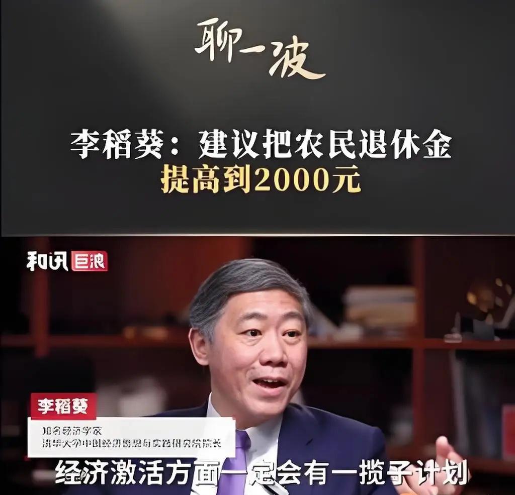 清华大学李稻葵：“不能因为钱一下子拿不出来，就让提高农民养老金从长计议，很多交了