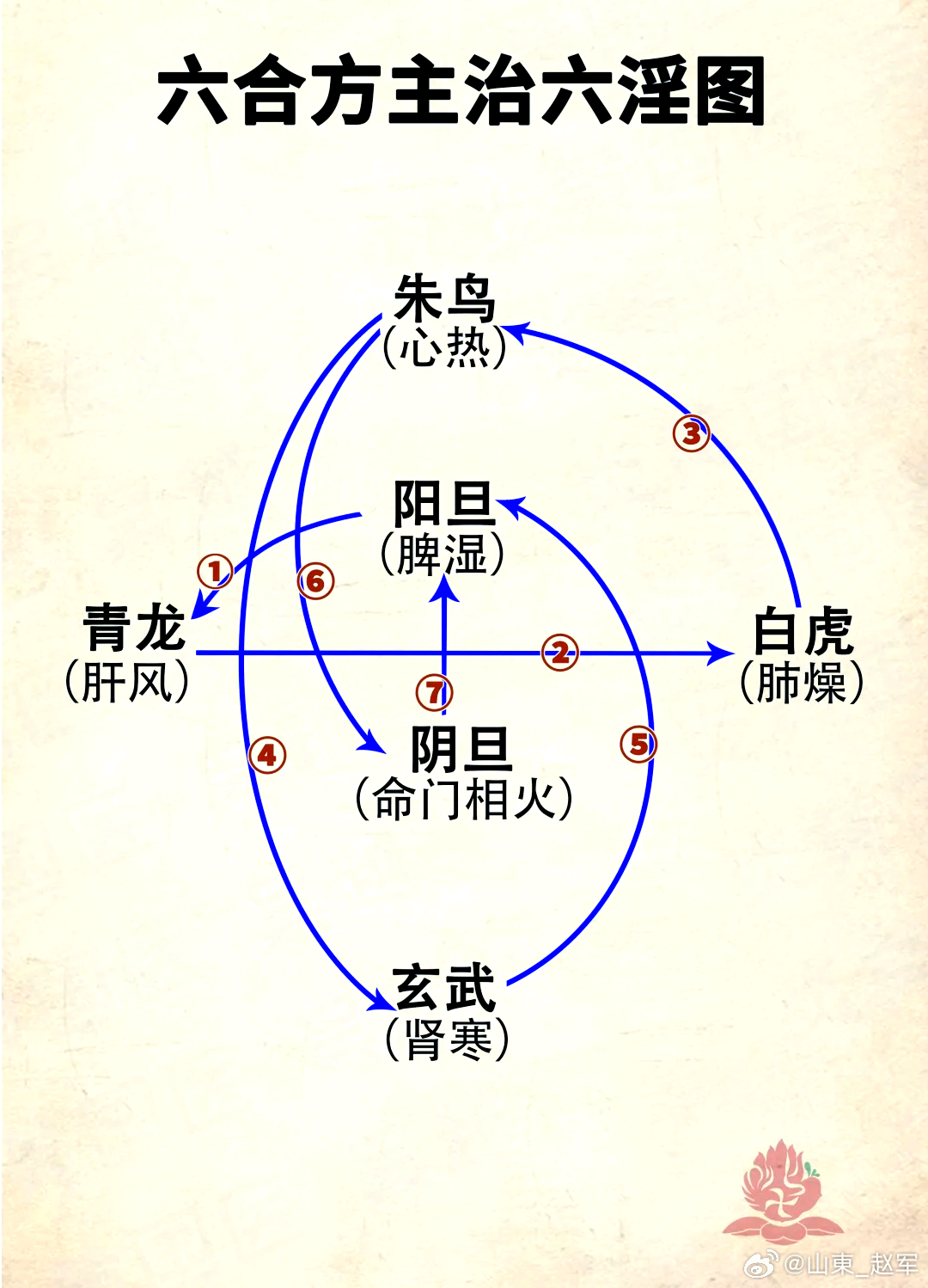 小阴旦汤（《辅行诀》一气周流·儿科课件版，承接小阳旦汤/桂枝汤）总纲：小阴旦汤出
