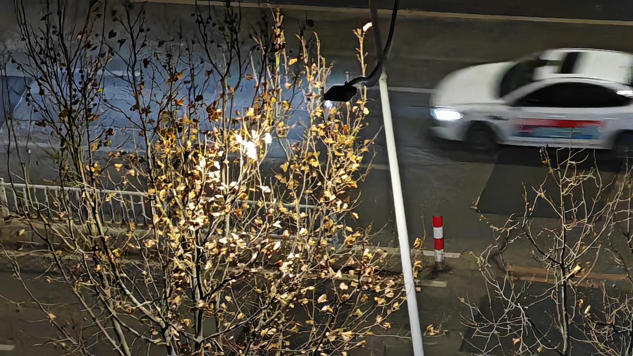 烟台，
      冬天的树上还有几片树叶子，随着北风摇摆着，不是，哪一天就被摇