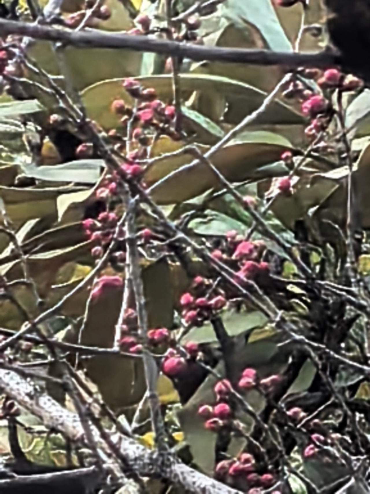 今年冬天的不同