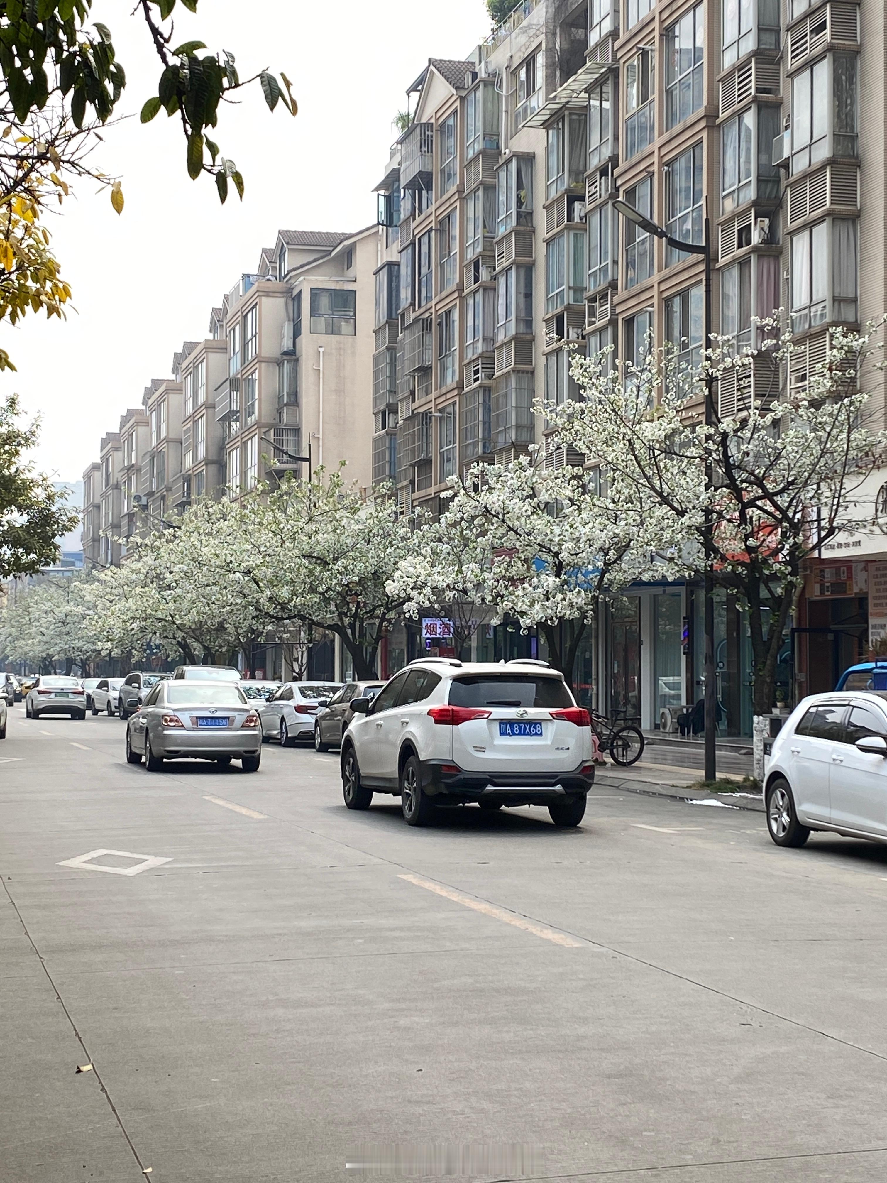 之前来成都好几次了，还是第一次感觉到成都是如此多人的让我意想不到的是就连郊区都很