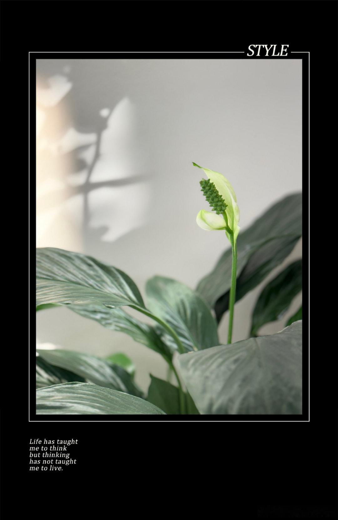 晚安 