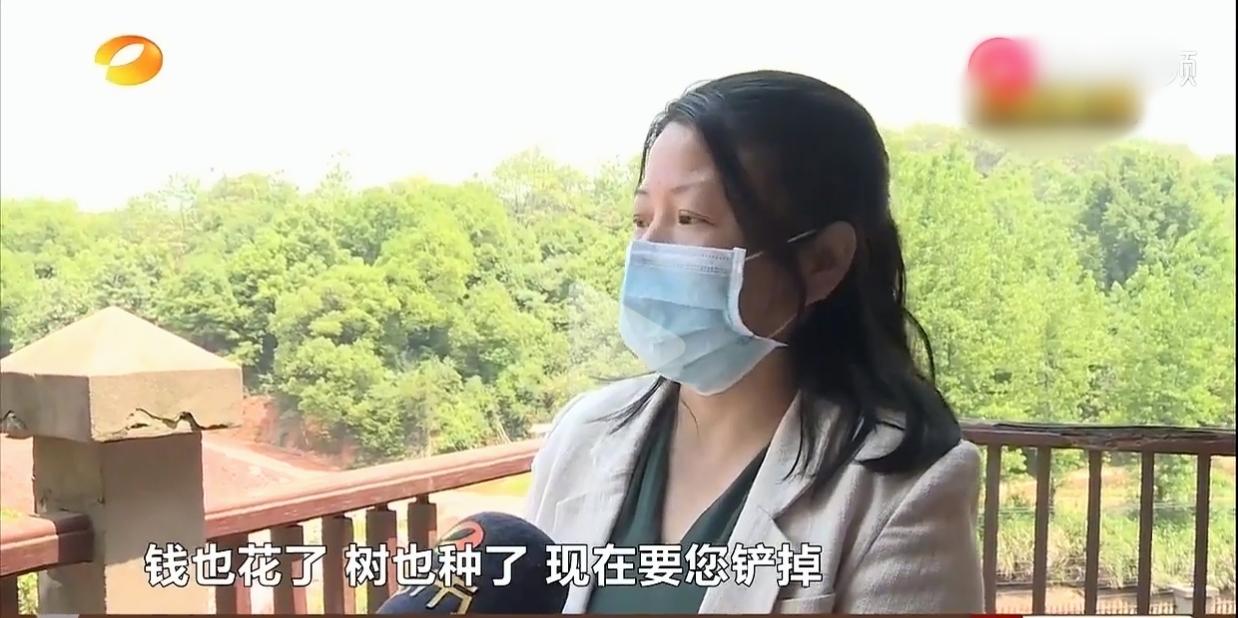 “气懵了”湖南，一女子见别墅外光秃秃，自费21万元种了7棵树，谁知物业起初同意，