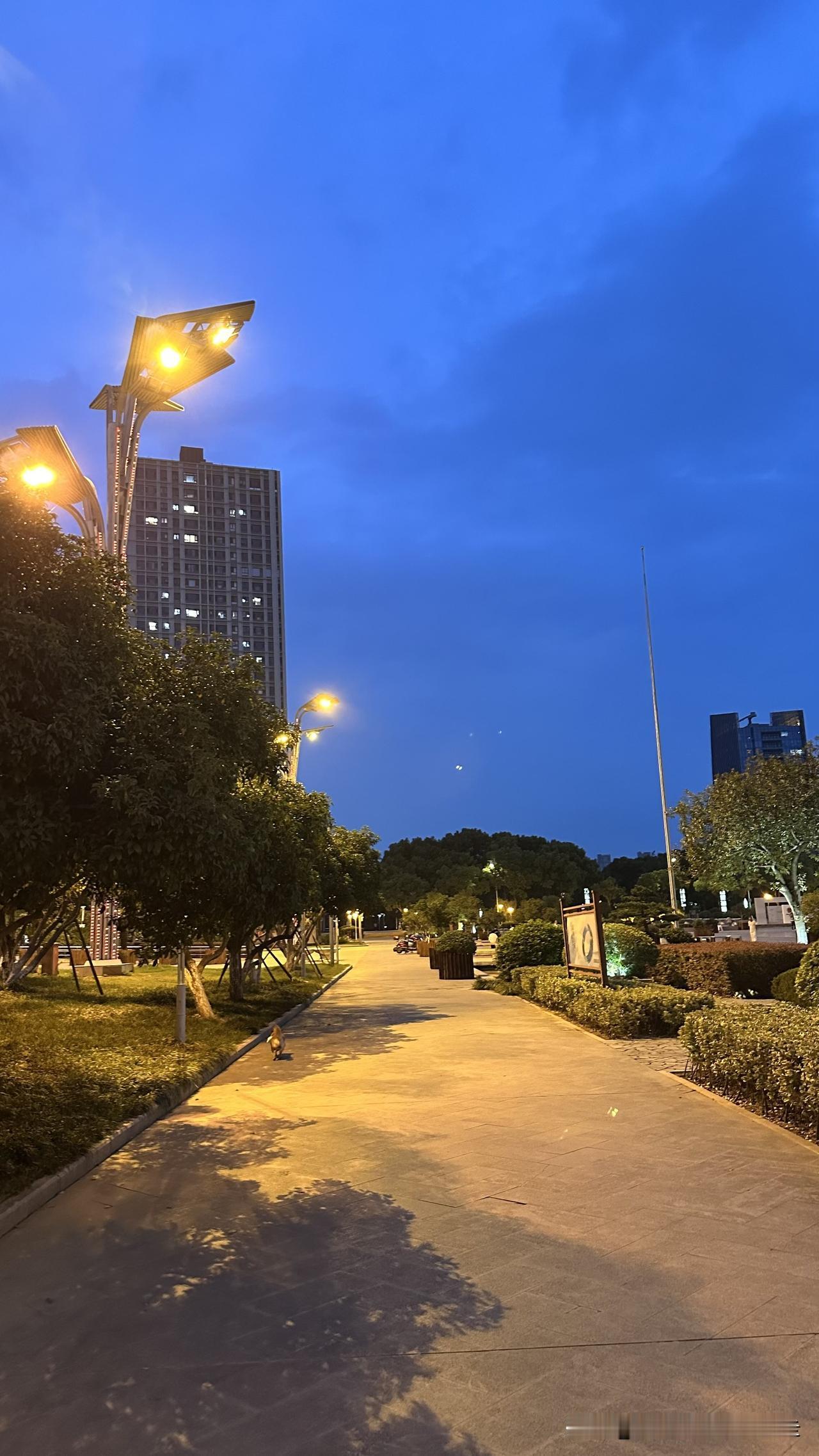 台北人在苏州，不到半天，原本担心该如何处理的二手家电，已经都有人接手了，其中大部