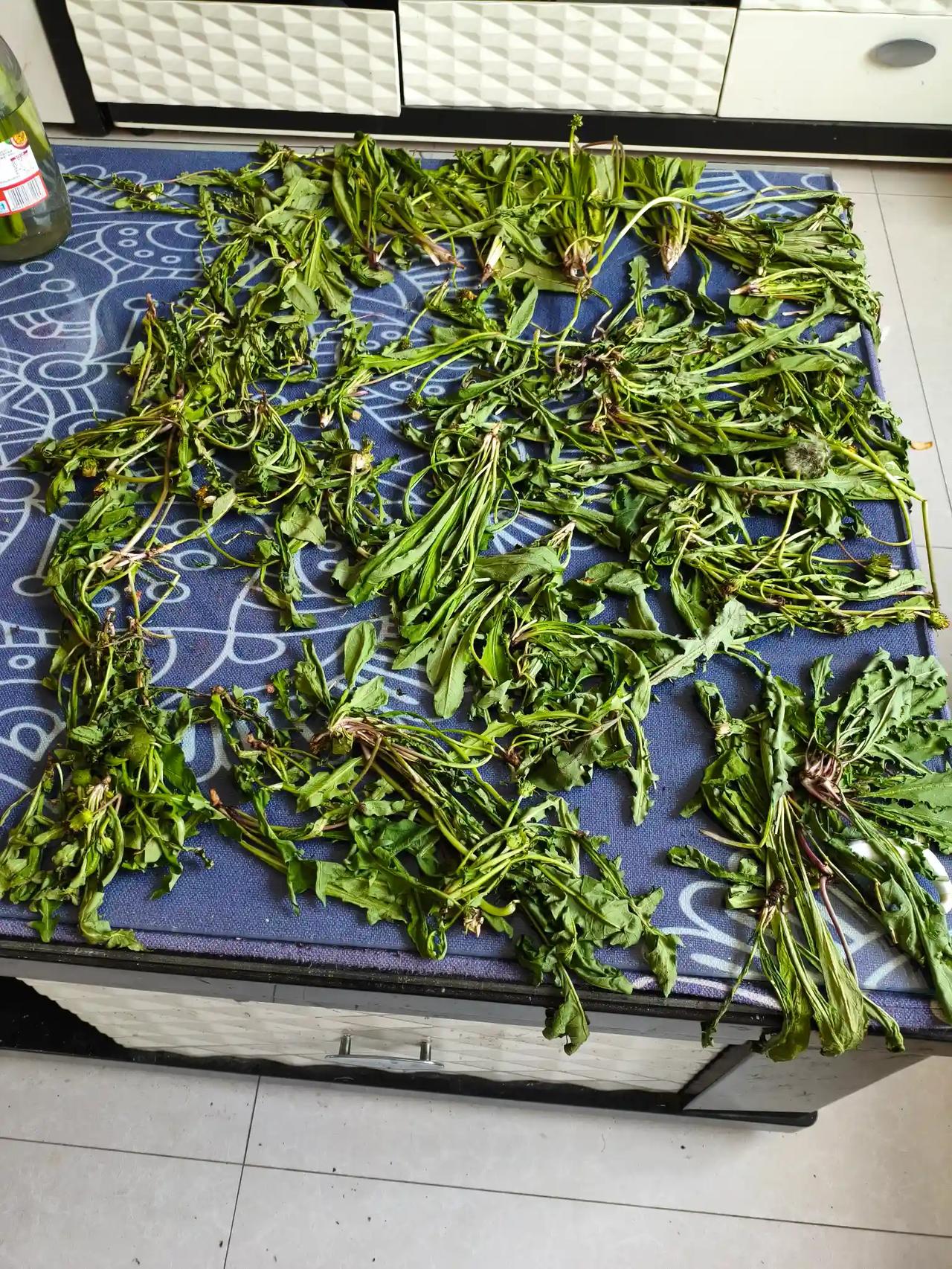 我耳鸣十几年了，烦的要死，什么办法都用了，就是没效果，无奈，放弃了！
我的耳鸣，