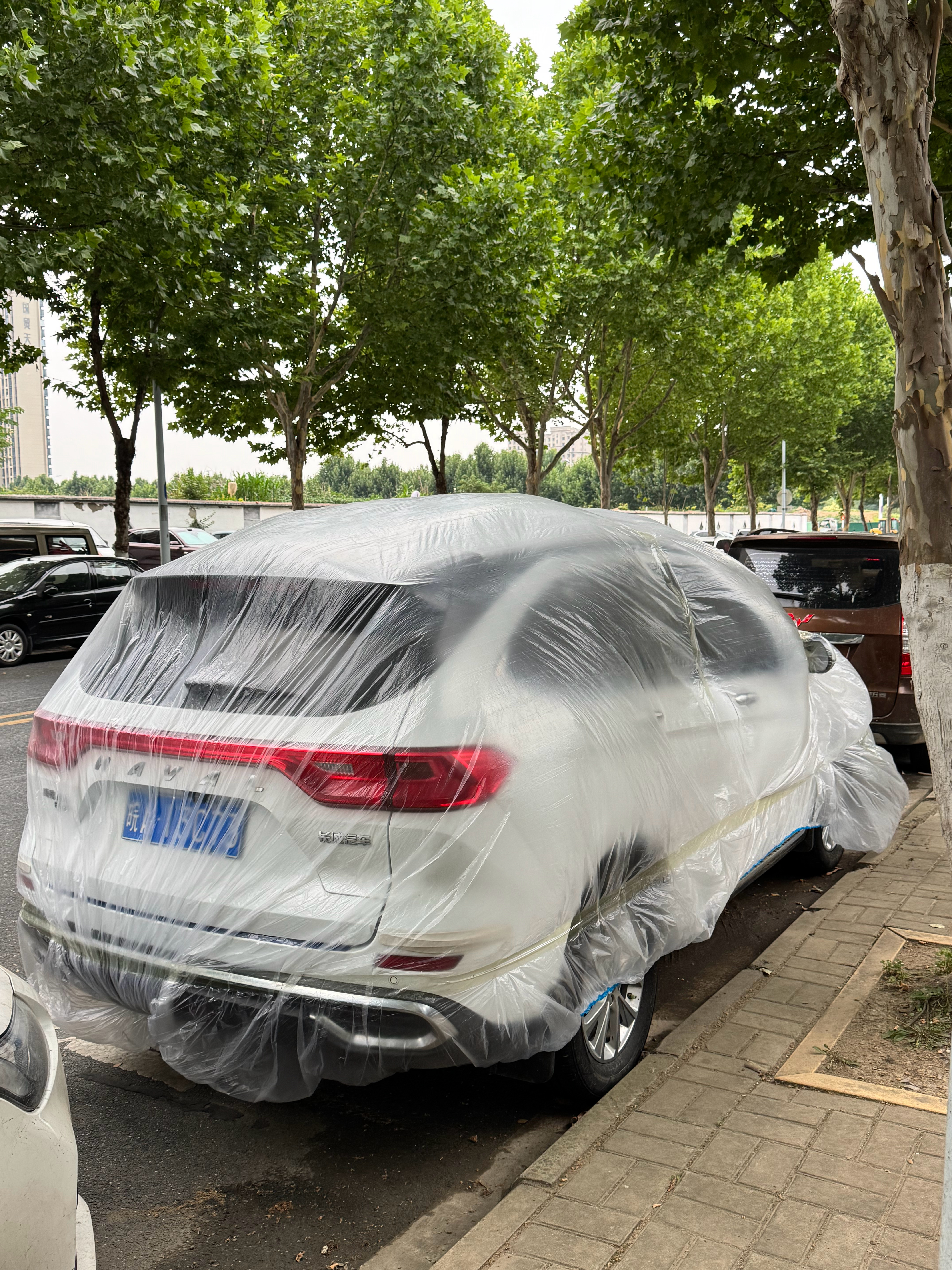 这…..这…….这爱惜的有点过分了吧？真是保鲜膜罩车啊