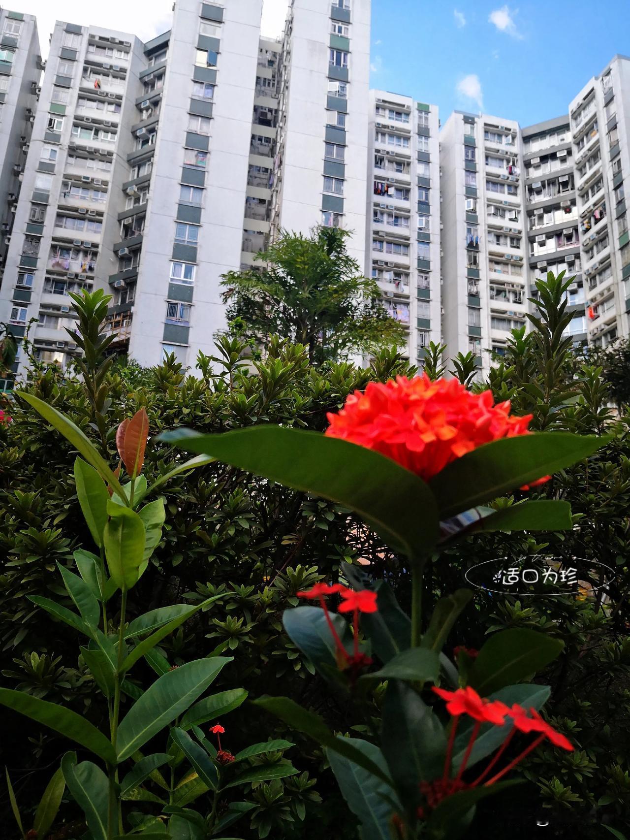没钱就不要出去旅游，出来旅游坐地铁就好好使用车票，别从出口钻出来。
那么年轻，又