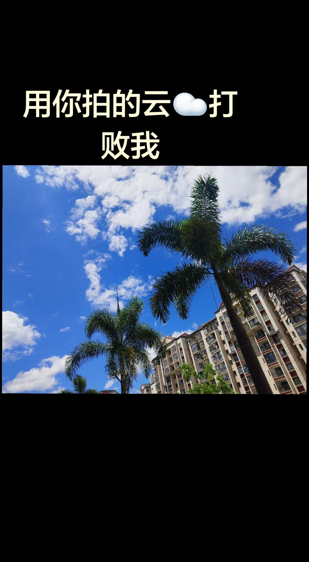 天空才是真正属于你的主场呀 而且它真的是最好的背景呢