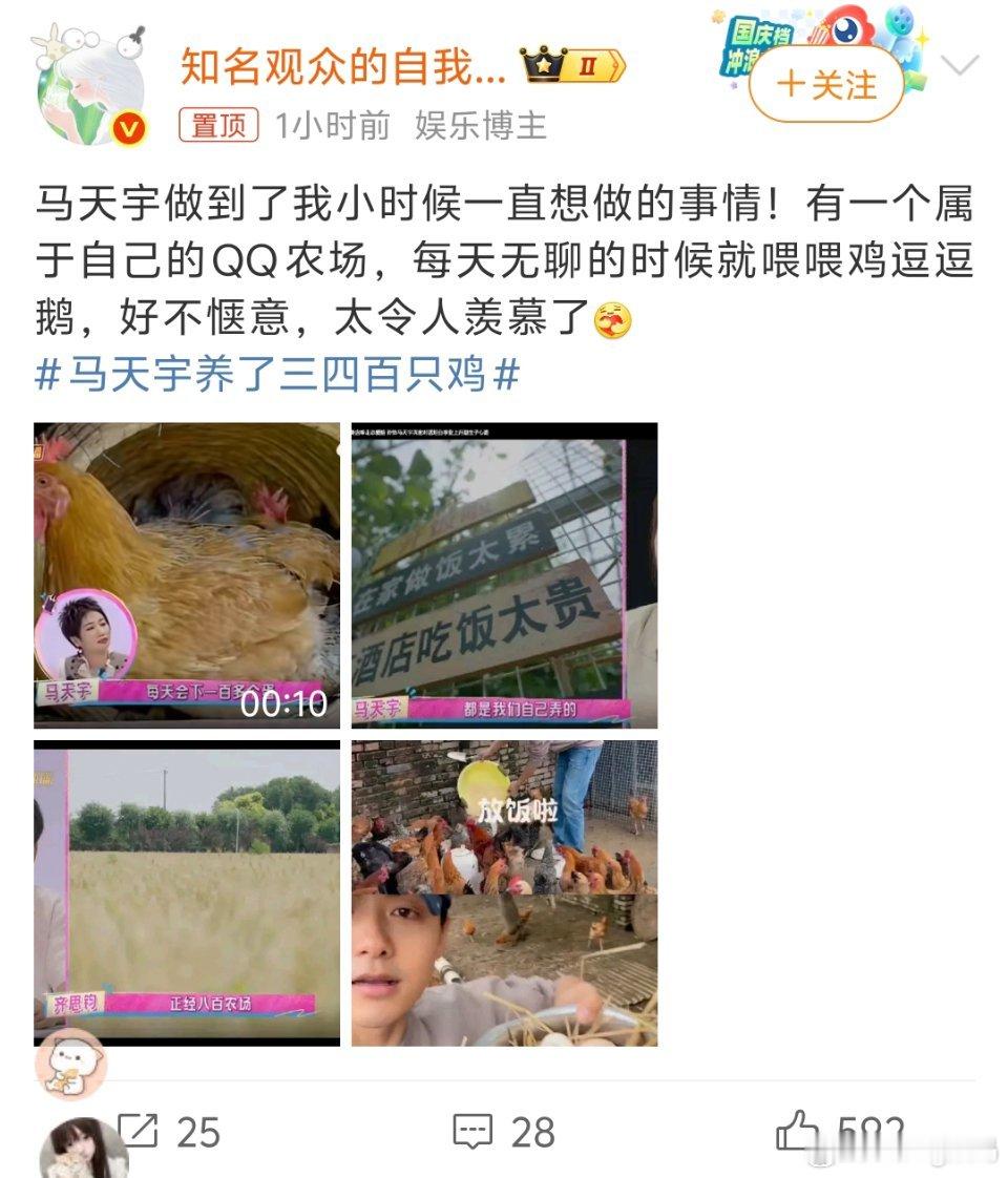 马天宇养了三四百只鸡这也太爽了想吃就直接有自家的新鲜走地鸡广东人最爱一生追求不过