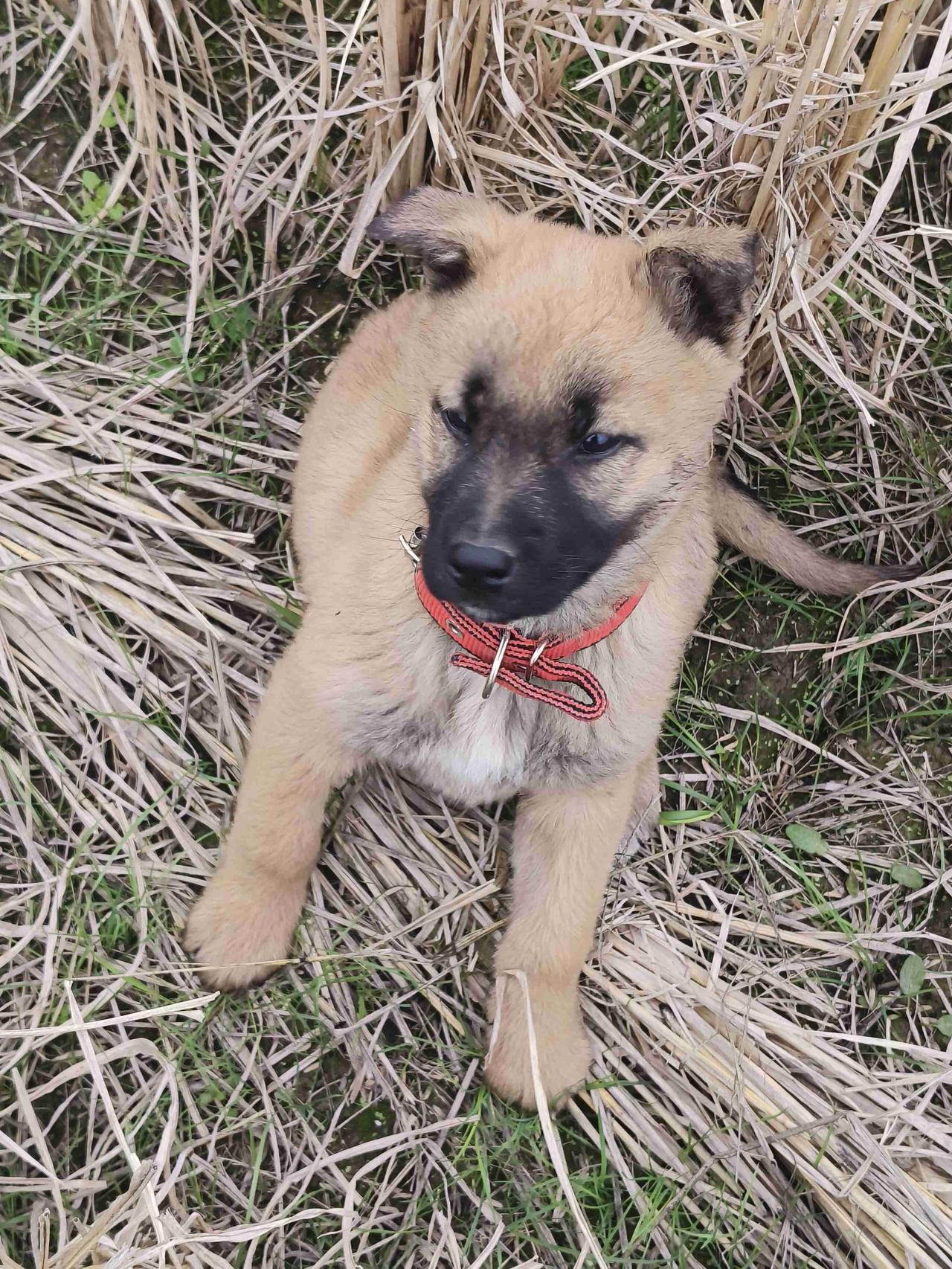 带定位晒今日生活 带定位晒今日生活
今日状态轻松愉快，广东这大晴天简直太舒服啦！