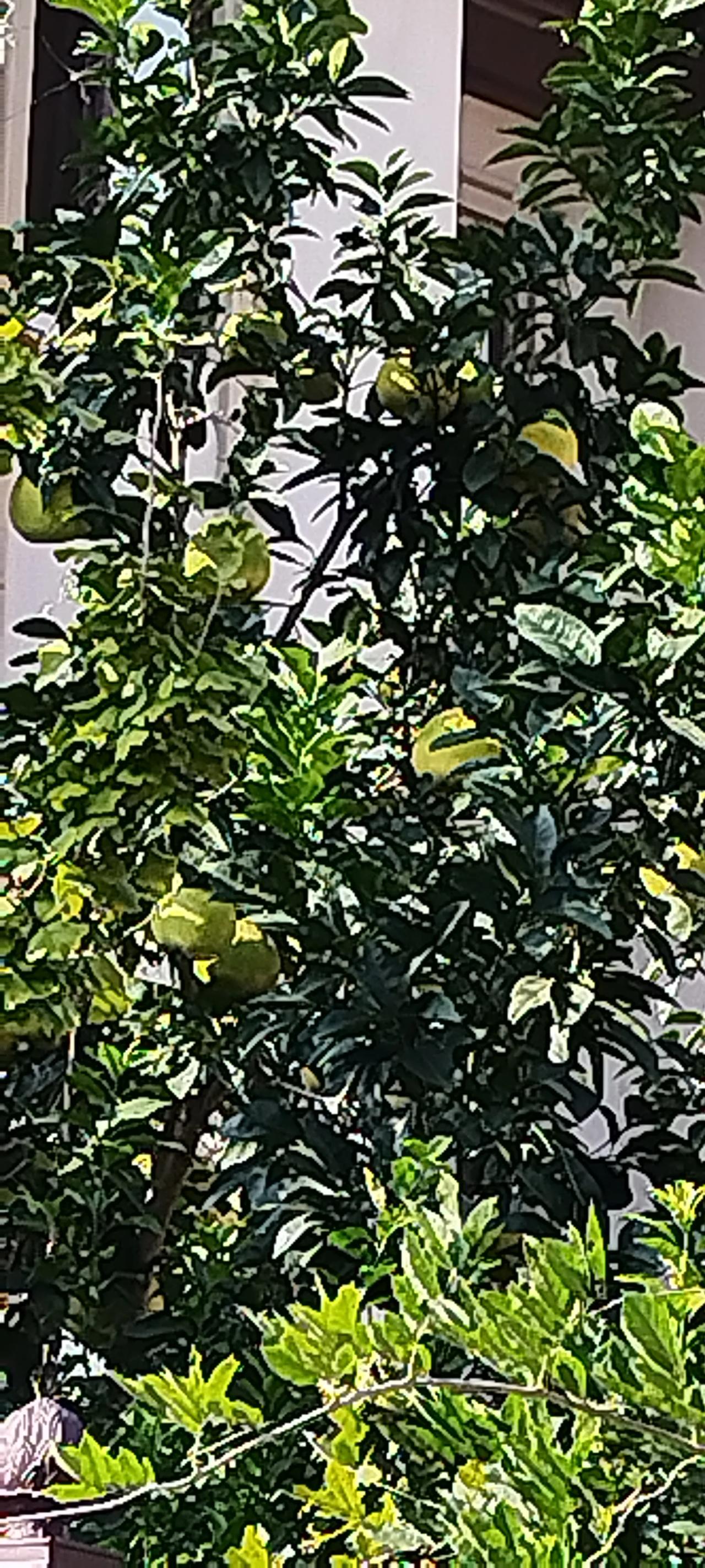 春日生活打卡季